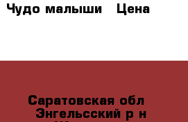 Чудо малыши › Цена ­ 10 000 - Саратовская обл., Энгельсский р-н Животные и растения » Собаки   